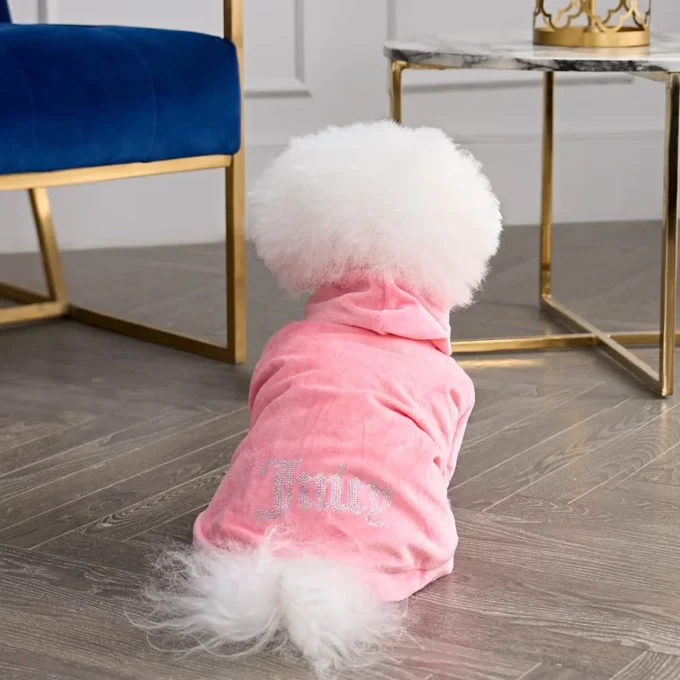 Bling Velour-huvtröja för husdjur