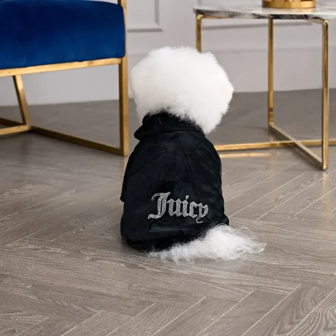 Bling Velour-huvtröja för husdjur