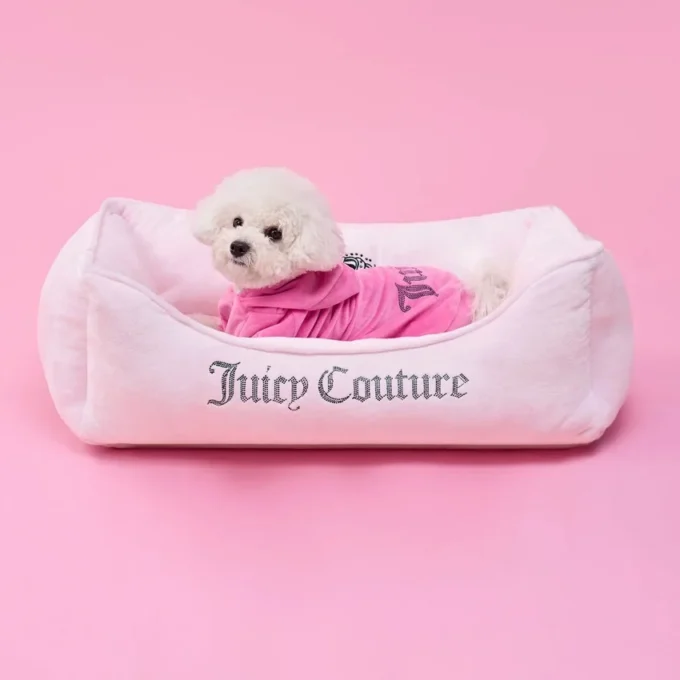 Bling Velour-huvtröja för husdjur