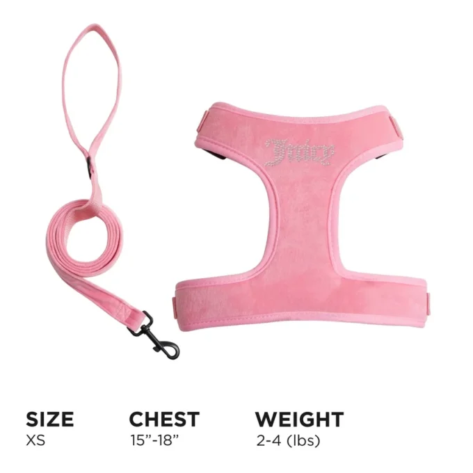 Bling Velour-set med sele och koppel för husdjur