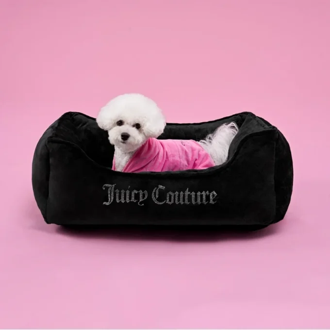 Crown Bling svart hund- & kattbädd