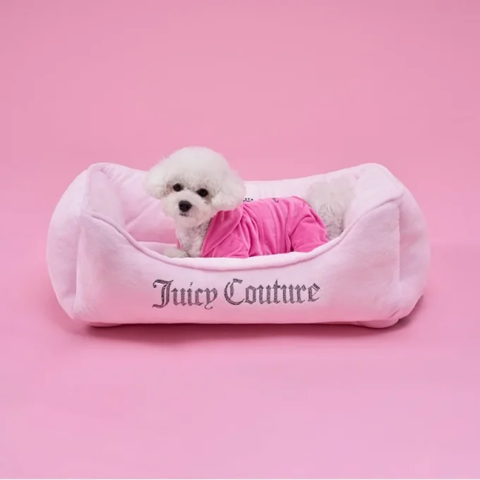 Crown Bling svart hund- & kattbädd