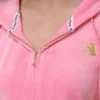 Heritage Stripe Bling-hoodie i velour med dragkedja